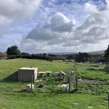 Poachers Hut - Captivating 1-Bed Cottage Shorwell Exterior foto