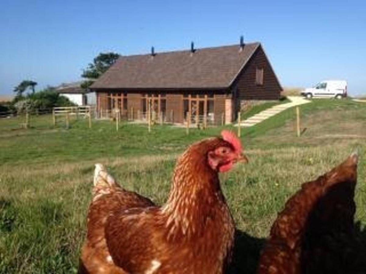 Poachers Hut - Captivating 1-Bed Cottage Shorwell Exterior foto